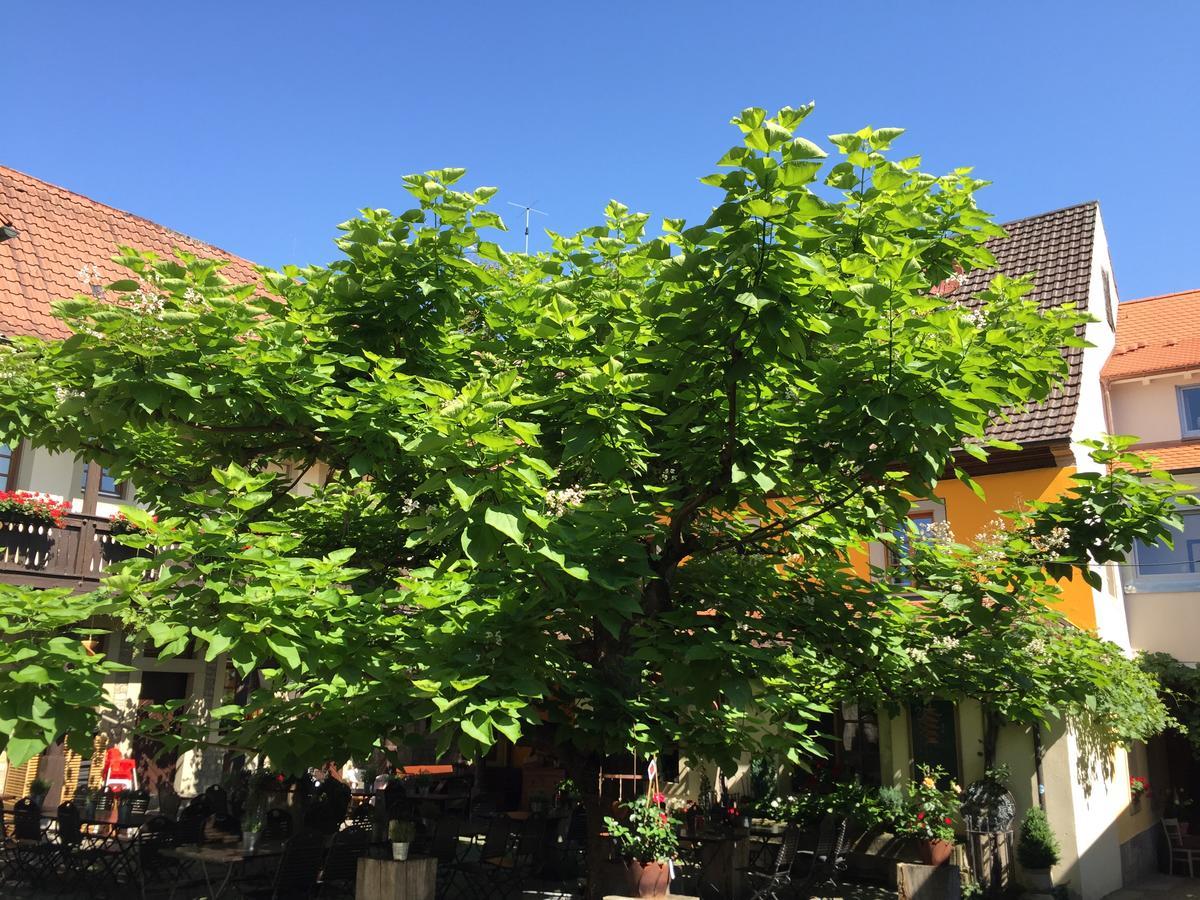 Gasthof Zum Storch بريكسنشتات المظهر الخارجي الصورة